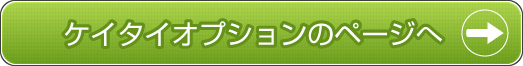 ケイタイオプションのページへ